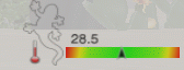 Temperatura Interna